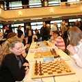 STEF5283