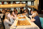 STEF5300