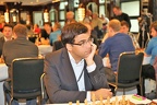 STEF5303