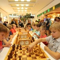 STEF8647