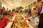 STEF8647