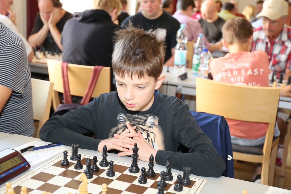 STEF3536