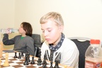 STEF3833