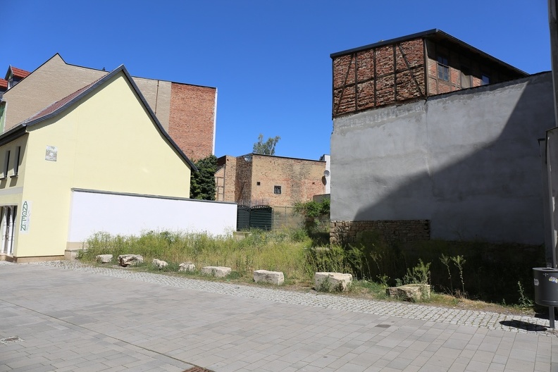 EG1B4392.JPG