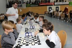 STEF6024