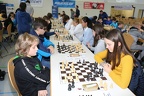 STEF6032
