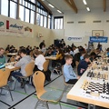 STEF6035