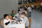 STEF6038