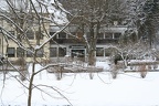 IMG 3882