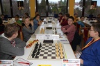 IMG 6461